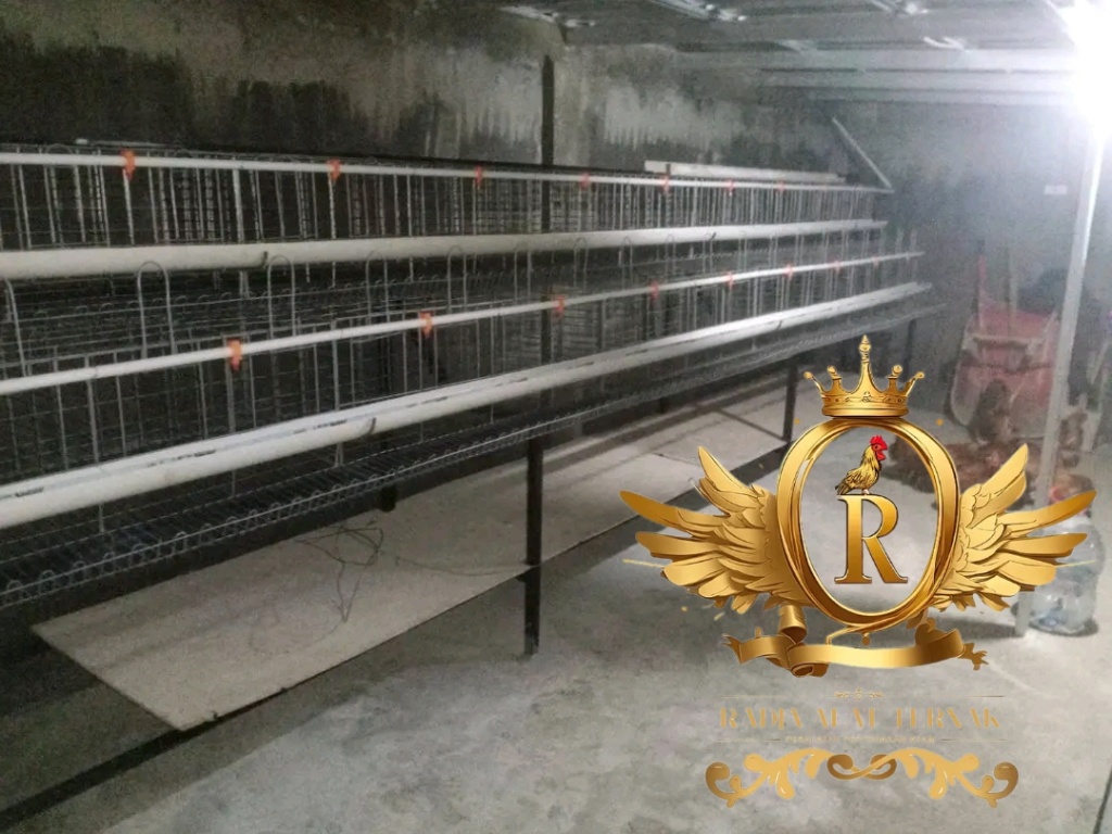 https://production-kontak-dot-link.s3.ap-southeast-1.amazonaws.com/kontaklink-pro/3DSRiDxieMmPcbtU2385QbSy8TY/attachment/202605/09-qn0us5--GridArt_20260430_175609314.jpg